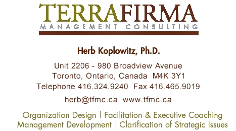 Terra Firma Management Consulting